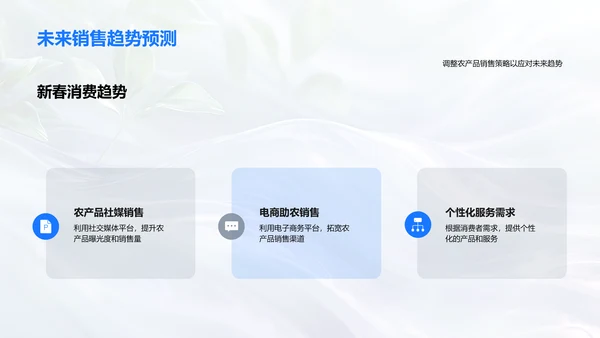 春节农产品网络销售策略PPT模板