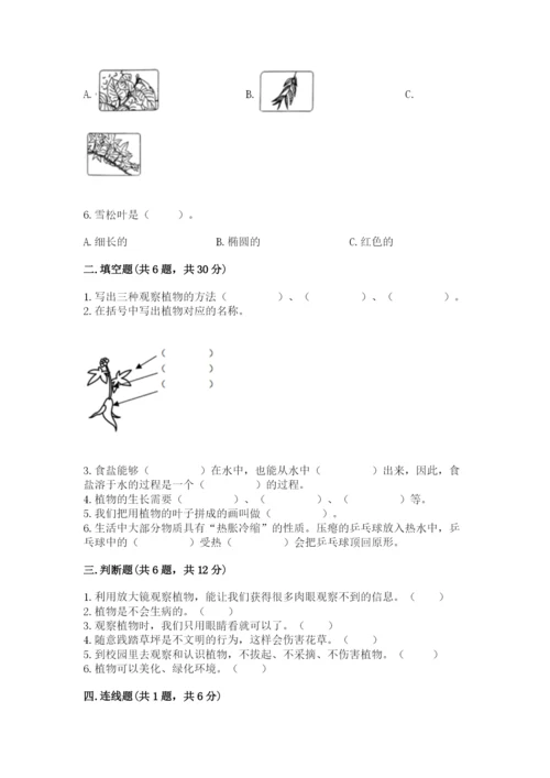 教科版科学一年级上册第一单元《植物》测试卷带答案（能力提升）.docx