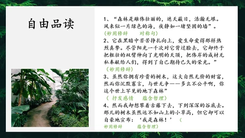 地下森林作家张抗抗作品解读PPT课件