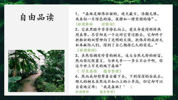地下森林作家张抗抗作品解读PPT课件
