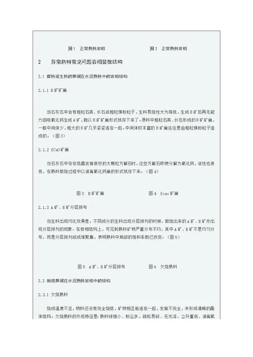 岩相分析在中联水泥质量控制中发挥大作用