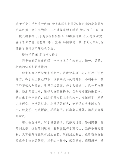 骆驼祥子小说56章读书心得5篇.docx