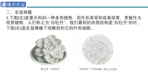 人教版生物七年级上册第一单元《生物与细胞》单元复习课件(共53张PPT)