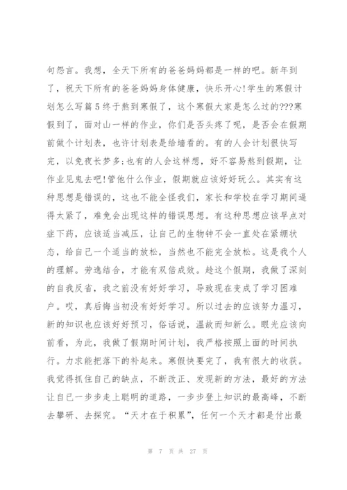 学生的寒假计划怎么写15篇.docx