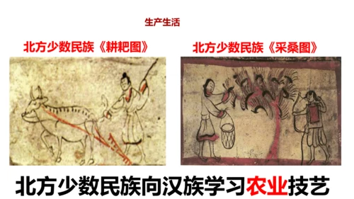 第19课 北朝政治和北方民族大交融  课件