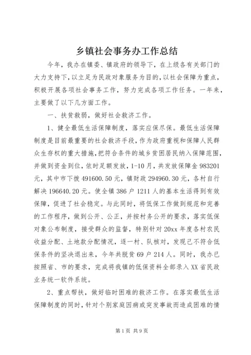 乡镇社会事务办工作总结.docx