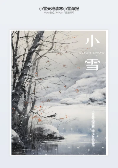 小雪天地清寒小雪海报