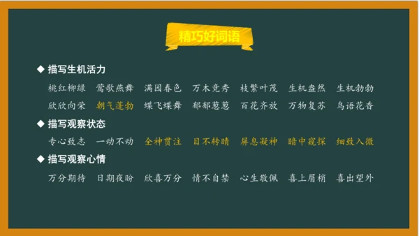 统编版语文四年级上册 第三单元习作：  写观察日记课件