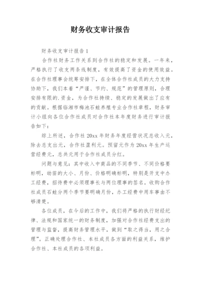 财务收支审计报告_4.docx