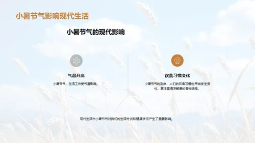 小暑节气的生活智慧