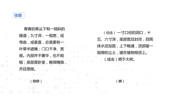 八年级语文上册 第五单元名著导读《昆虫记》课件