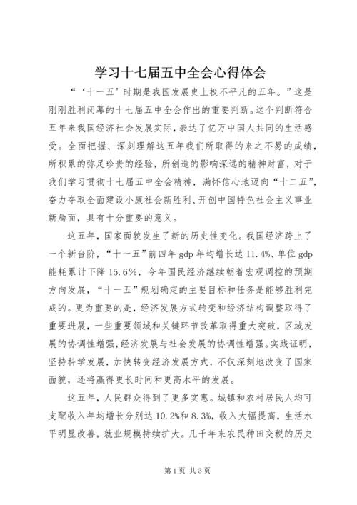 学习十七届五中全会心得体会 (12).docx