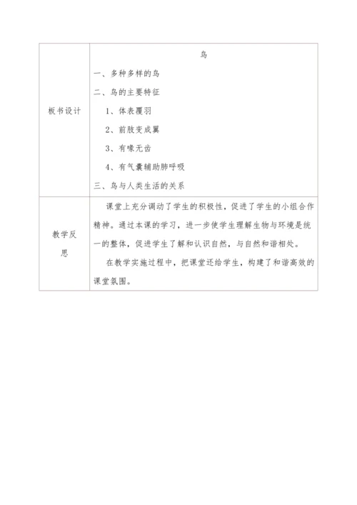 5.1.6鸟 教学设计