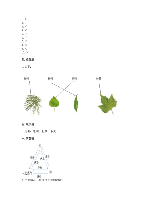 教科版科学一年级上册期末测试卷及答案（最新）.docx