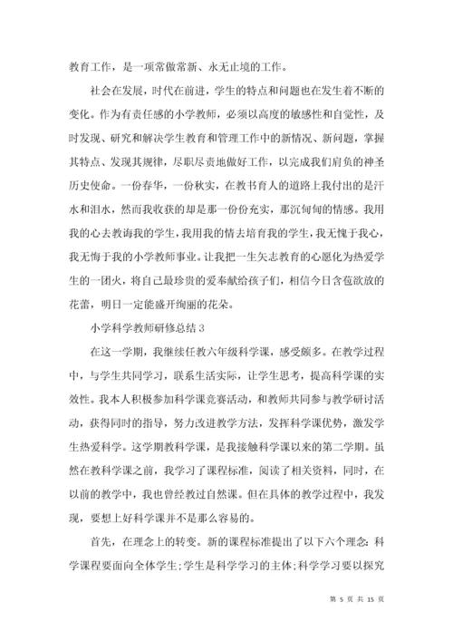 小学科学教师研修总结.docx