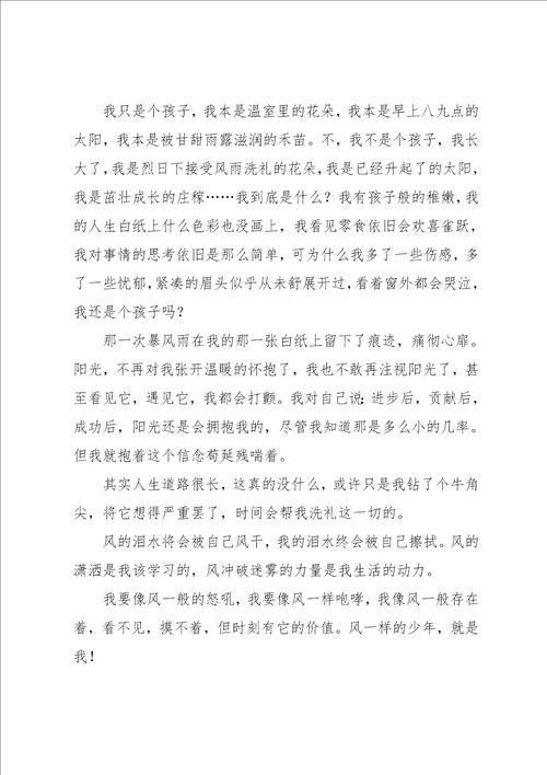 我风一般的少年作文800字