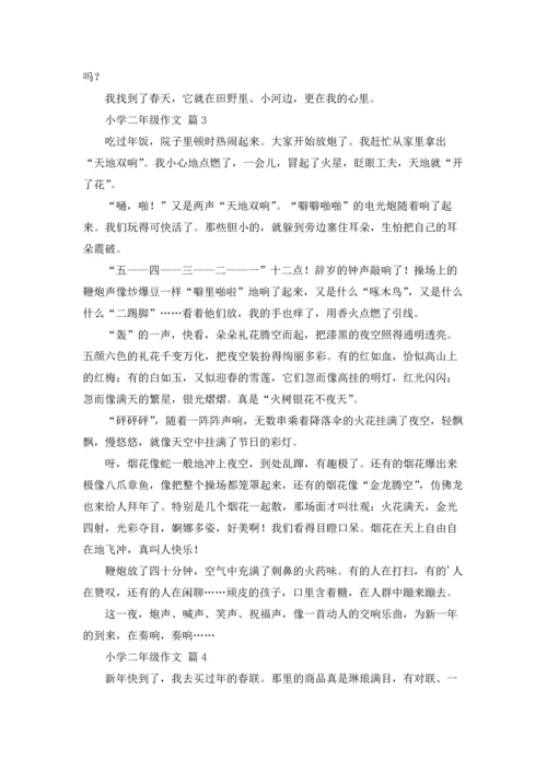 有关小学二年级作文锦集9篇.docx
