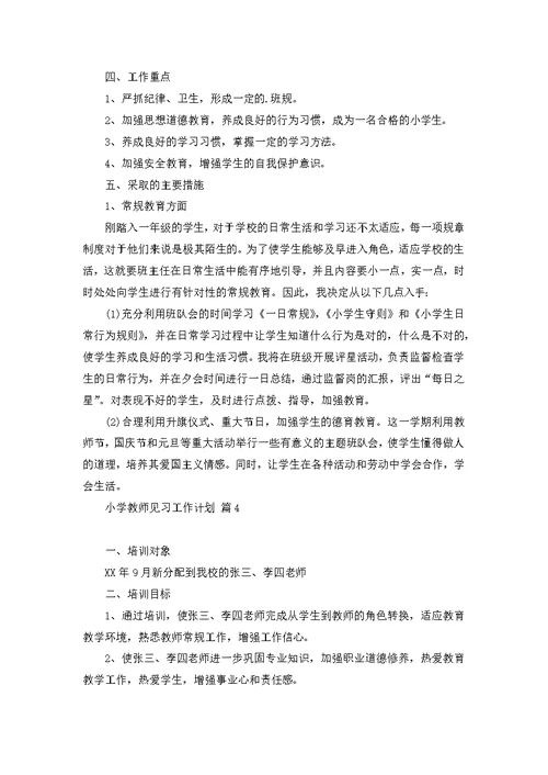 小学教师见习工作计划4篇