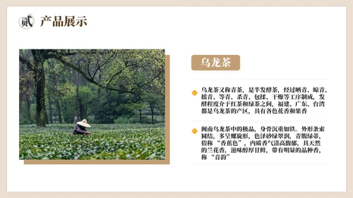 棕色茶产品介绍宣传PPT模板
