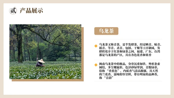 棕色茶产品介绍宣传PPT模板