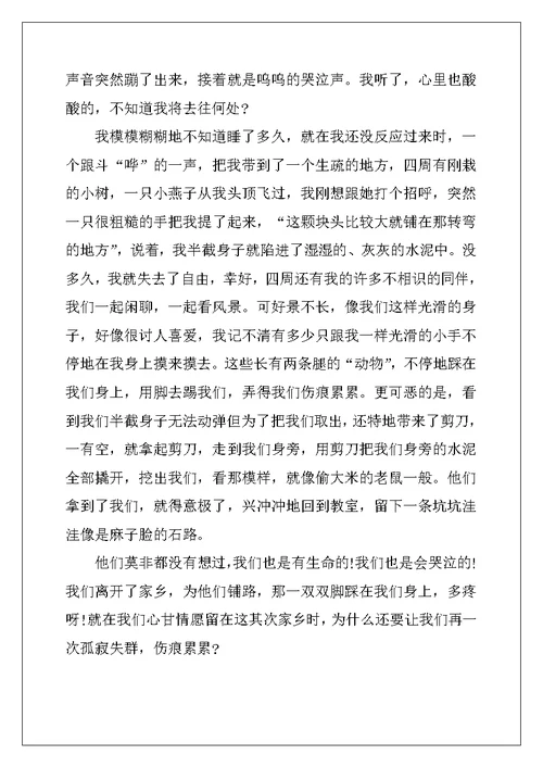 2022年小升初满分作文15篇