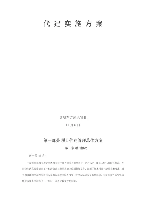 代建综合项目实施专项方案.docx