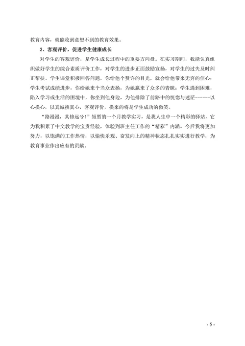 汉语言文学专业教育实践报告