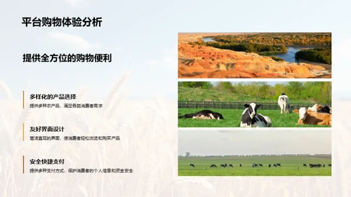 农业市场创新策略