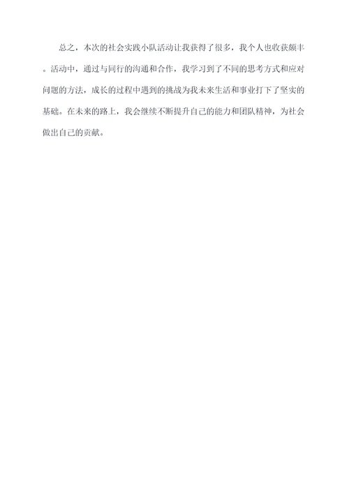 社会实践小队个人总结
