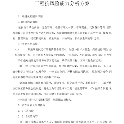 工程抗风险能力分析方案