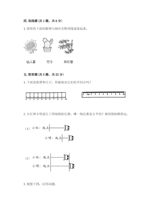 教科版一年级上册科学期末测试卷【黄金题型】.docx