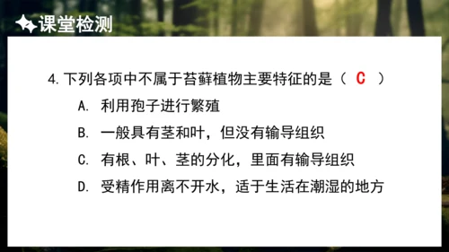 3.1.1 藻类、苔藓和蕨类植物 课件 人教版生物七年级上册(共27张PPT)