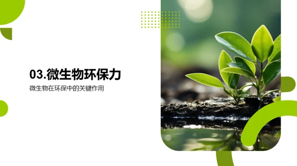 环保中的微生物应用