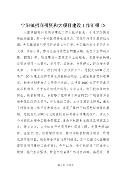宁阳镇招商引资和大项目建设工作汇报12 (2).docx