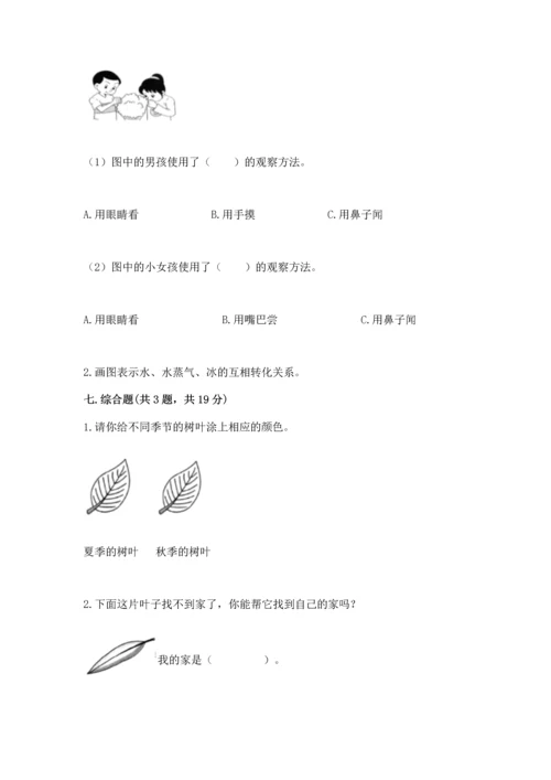 教科版科学一年级上册第一单元《植物》测试卷含答案【轻巧夺冠】.docx