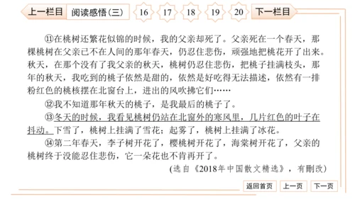 统编版八上语文第二次月考综合检测卷 习题课件（41张PPT）