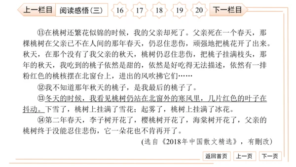 统编版八上语文第二次月考综合检测卷 习题课件（41张PPT）