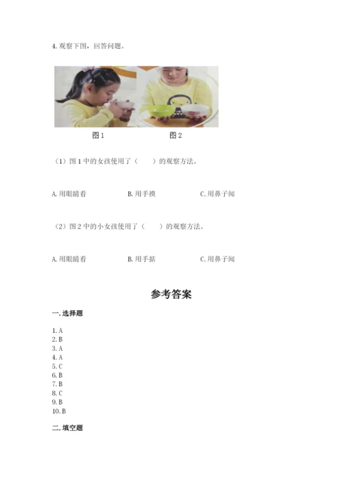 教科版二年级上册科学期末考试试卷附参考答案【模拟题】.docx