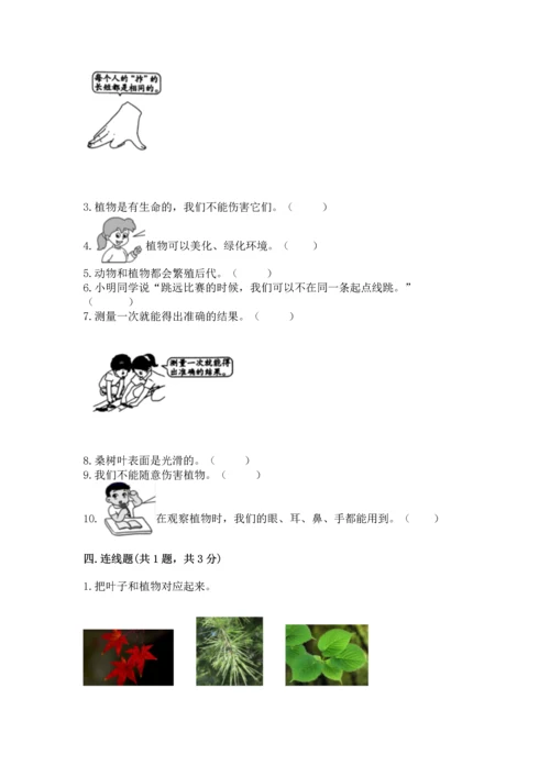 教科版一年级上册科学期末测试卷精品【能力提升】.docx