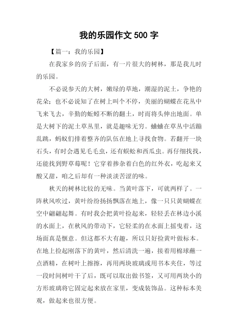 我的乐园作文500字.docx