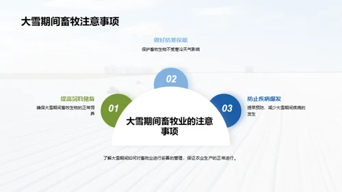 大雪节气农业解析