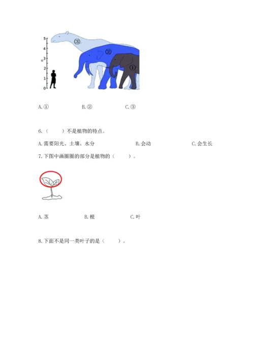 教科版一年级上册科学期末测试卷精品【名师系列】.docx