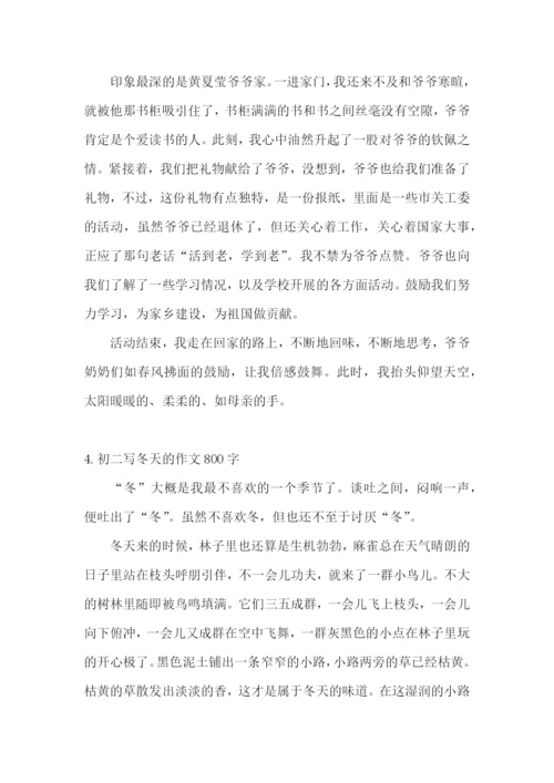 初二写冬天的作文800字5篇.docx