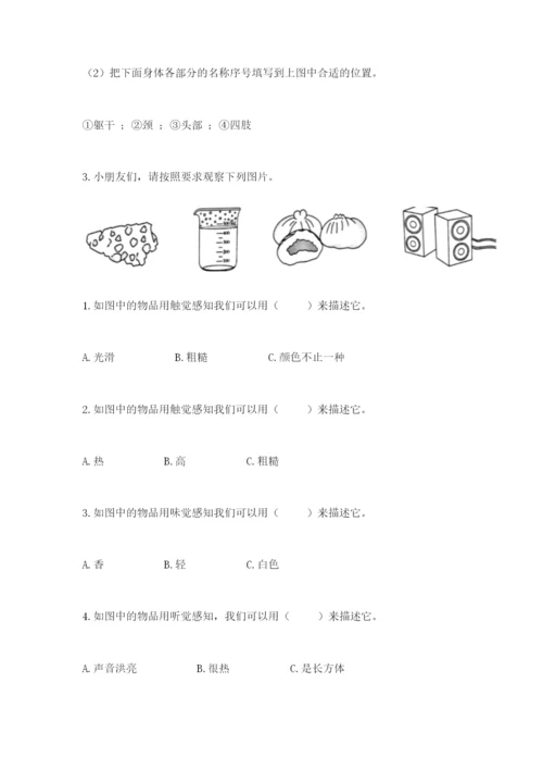 教科版二年级下册科学期末测试卷带答案（培优b卷）.docx