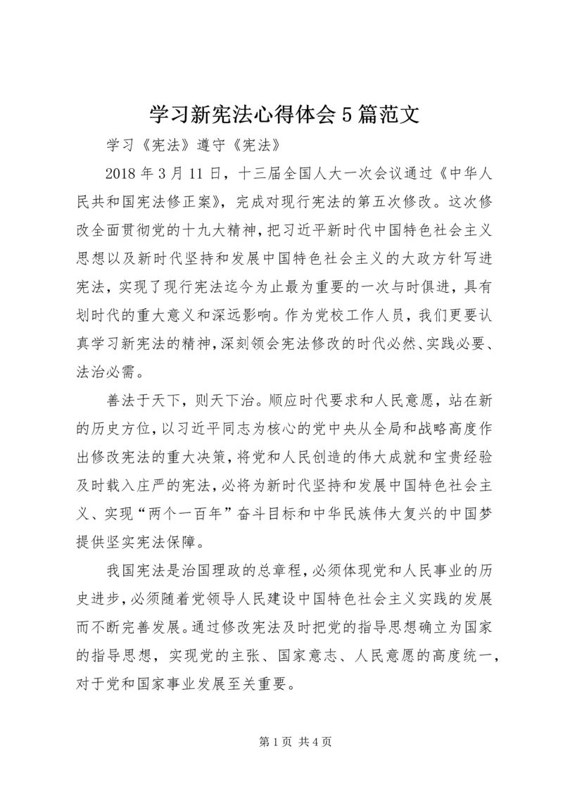 学习新宪法心得体会5篇范文_1 (2).docx