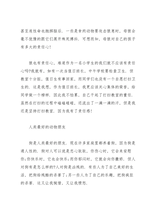 读《第七条猎狗》有感范文.docx