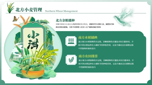 小满中国风教育教学通用模板PPT模板