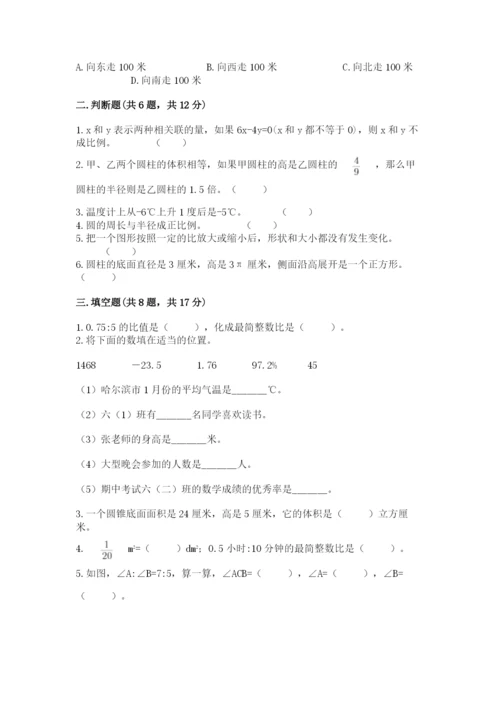 南阳市小升初数学测试卷精编.docx