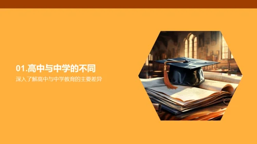 高中生涯的新篇章