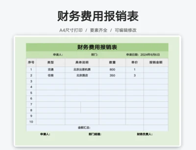 报销表财务专用